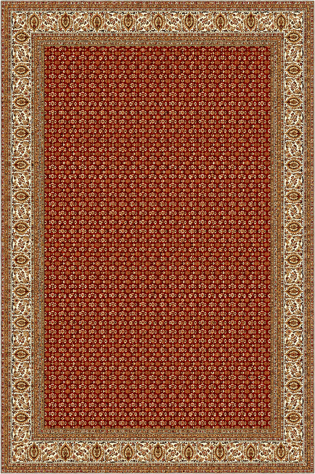 Shiraz